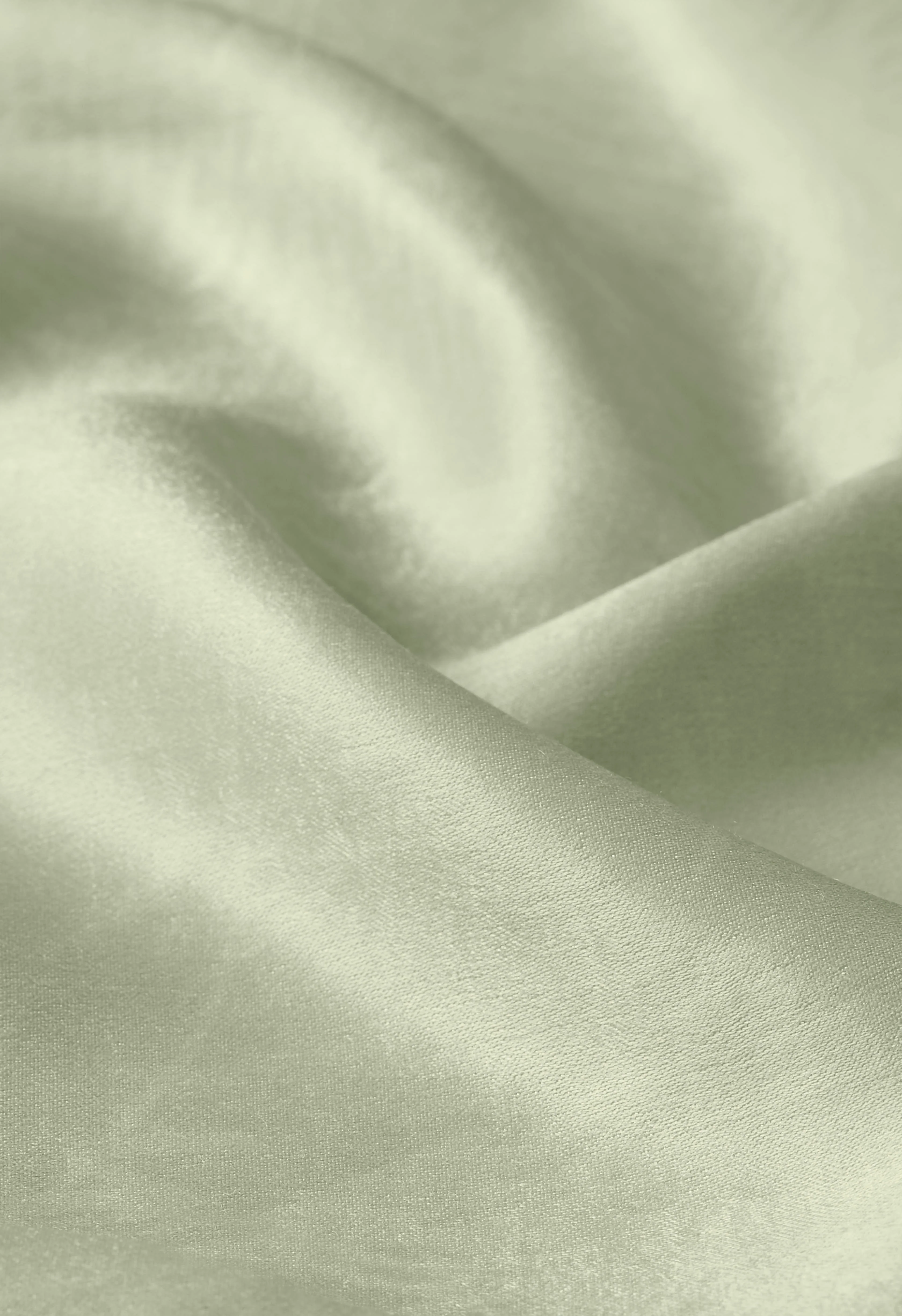 Printed Shirt | Palm Print Alfalfa - Image 5