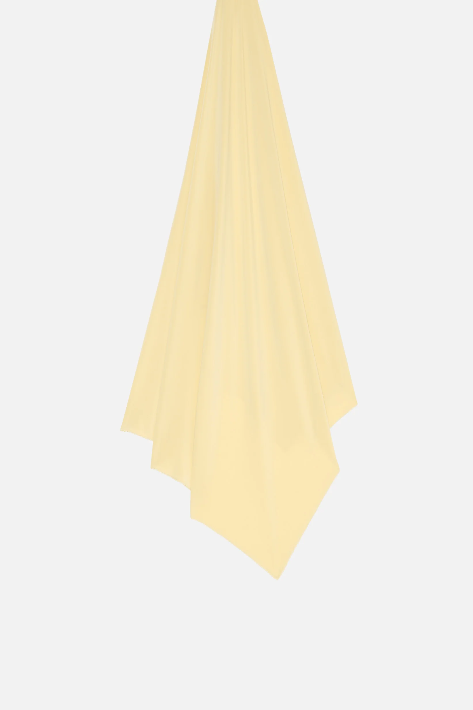 The Scallop Premium | White Honey - Image 3